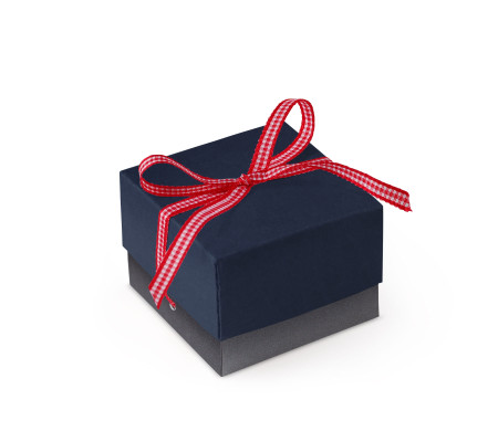 Bonita Caja Regalo con Tapa y Lazo Decorativo