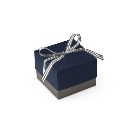Bonita Caja Regalo con Tapa y Lazo Decorativo