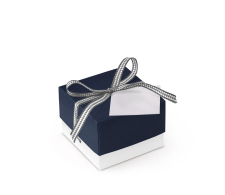 Graziosa Scatola Regalo con Coperchio e Fiocco Decorativo 