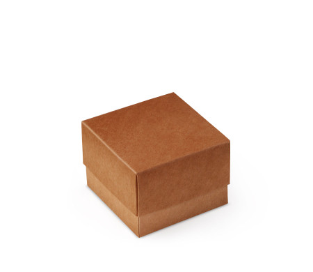 Schöne Geschenkbox mit Deckel und Schleife