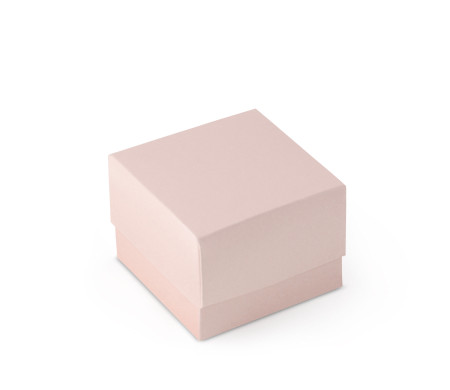 Schöne Geschenkbox mit Deckel und Schleife