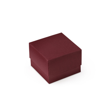 Bonita Caja Regalo con Tapa y Lazo Decorativo