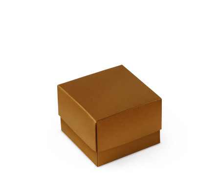 Bonita Caja Regalo con Tapa y Lazo Decorativo