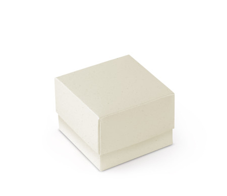 Bonita Caja Regalo con Tapa y Lazo Decorativo