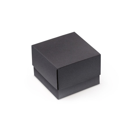 Bonita Caja Regalo con Tapa y Lazo Decorativo