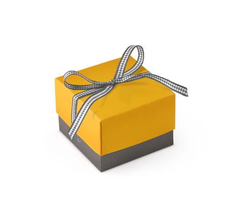 Jolie Boîte Cadeau avec Fermeture et Noeud Décoratif