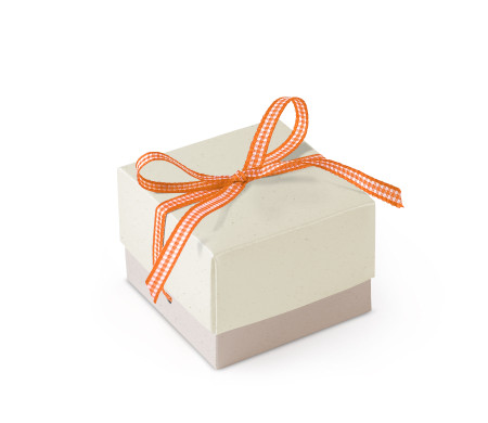 Graziosa Scatola Regalo con Coperchio e Fiocco Decorativo 