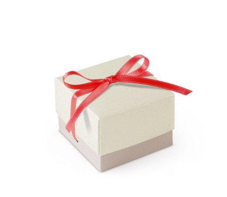 Bonita Caja Regalo con Tapa y Lazo Decorativo