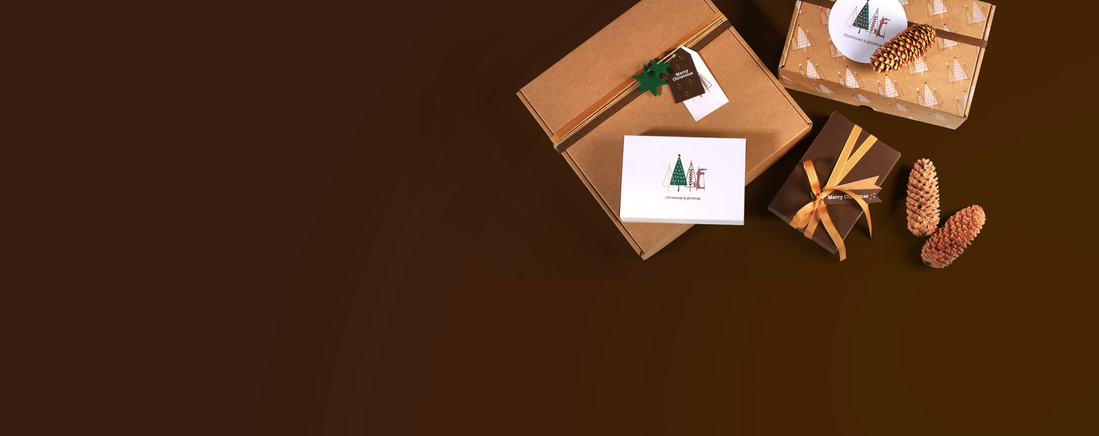 Colección Navidad 2025